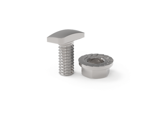 [1HFR10BT001] Hammerhead screw SLIDE with cartle nut